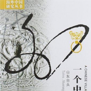 一個(gè)中國(guó)村莊：山東臺(tái)頭