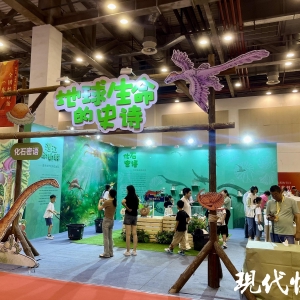 古生物化石首次亮相江蘇書展，聽化石“講述”地球生命演化的歷程